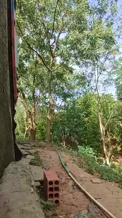 Richard_2 from Venezuela
